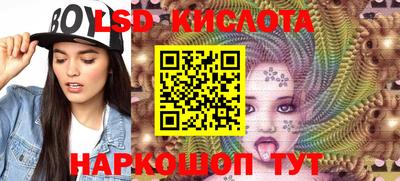 шишки Изобильный