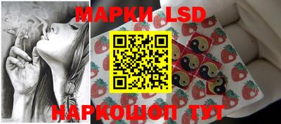 шишки Изобильный