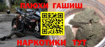 шишки Изобильный