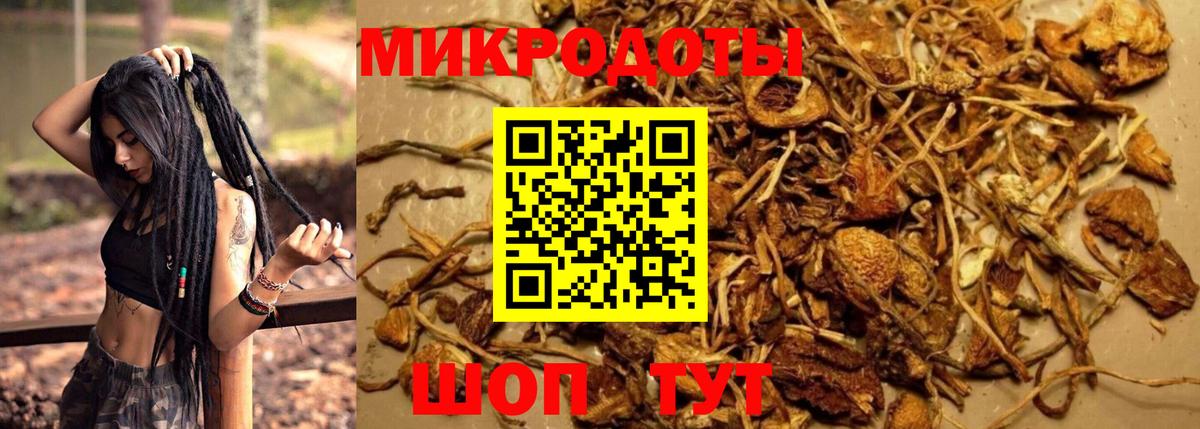 Гай  Галлюциногенные грибы GOLDEN TEACHER  Вход с VPN 